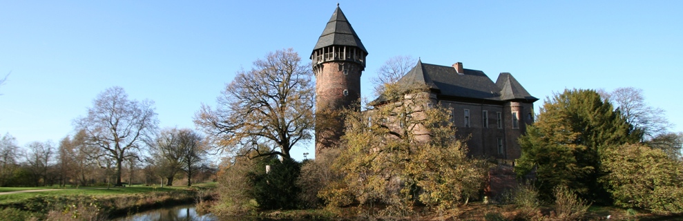 Burg Linn